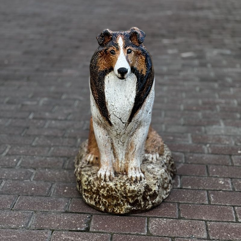 Собака Колли цветная