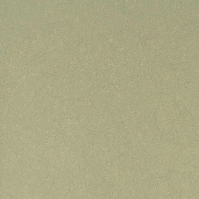 Флизелиновые обои Bernardo Bartalucci Legend 1.06x10 арт.5068-51