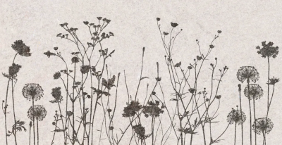 Декор Creto Декор Flamel 31х61