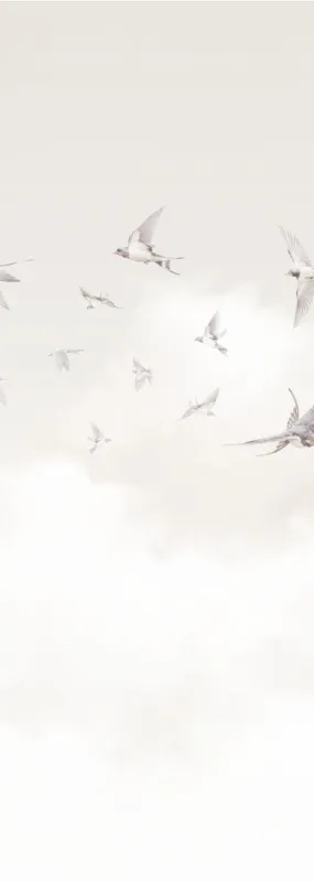 Флизелиновые обои Milassa Ambient vol3 x арт.AM11001/2