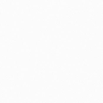 54310-1 Andrea Rossi Gallinara 1,06 х 10,05