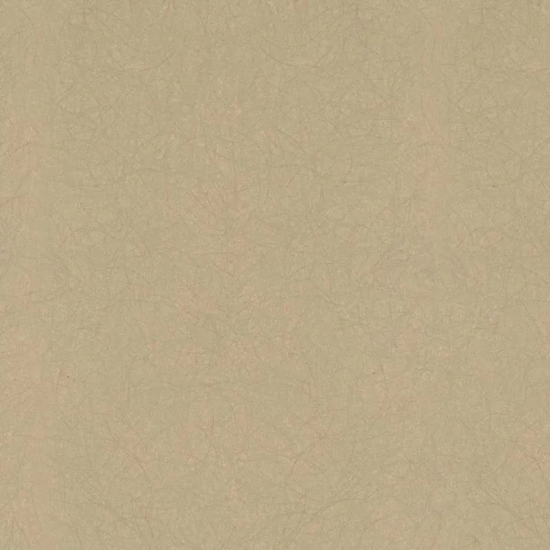 Флизелиновые обои Bernardo Bartalucci Legend 1.06x10 арт.5068-63