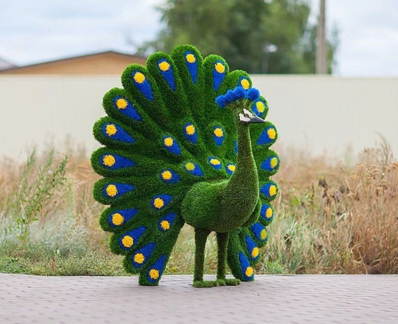 Топиар "Павлин НЭО" синий