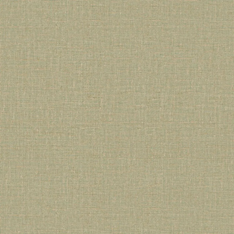 Виниловые обои на флизелиновой основе Zambaiti Mini Trend 0.53x10.05 арт.Z15506