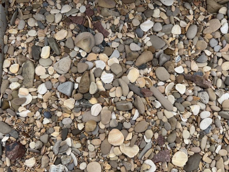 Природная галька "Каспийская" 5-50 мм