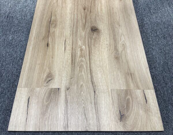 Primavera Torino Atar