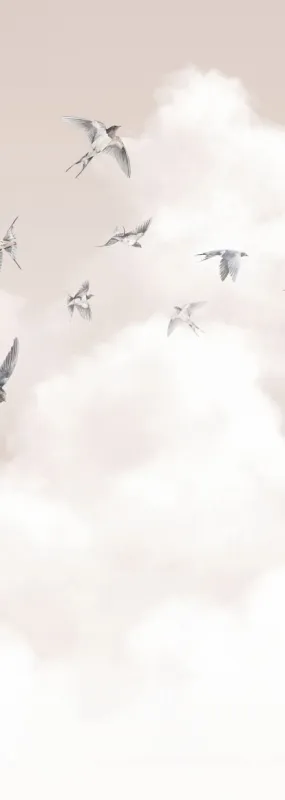 Флизелиновые обои Milassa Ambient vol3 x арт.AM11003/3