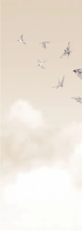 Флизелиновые обои Milassa Ambient vol3 x арт.AM11002/1