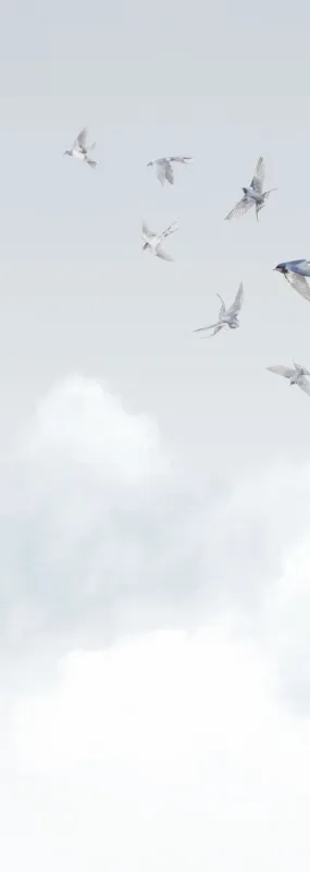 Флизелиновые обои Milassa Ambient vol3 x арт.AM11006/1