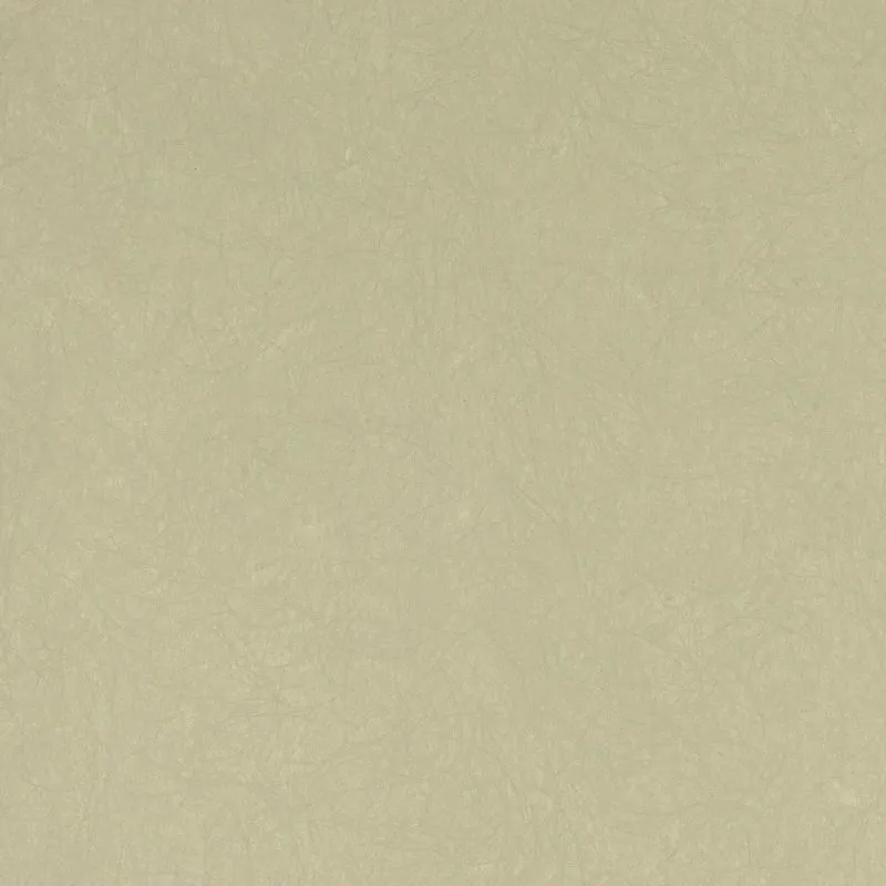 Флизелиновые обои Bernardo Bartalucci Legend 1.06x10 арт.5068-52