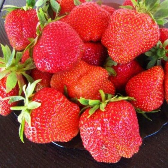 Земляника Дарселект