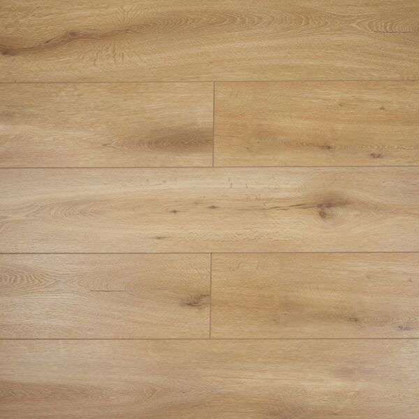 SPC ламинат Primavera Callisto  Коперник