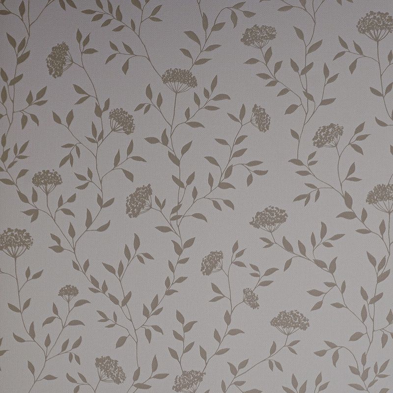 54456-2 Andrea Rossi Spectrum Box 1,06 x 10,05