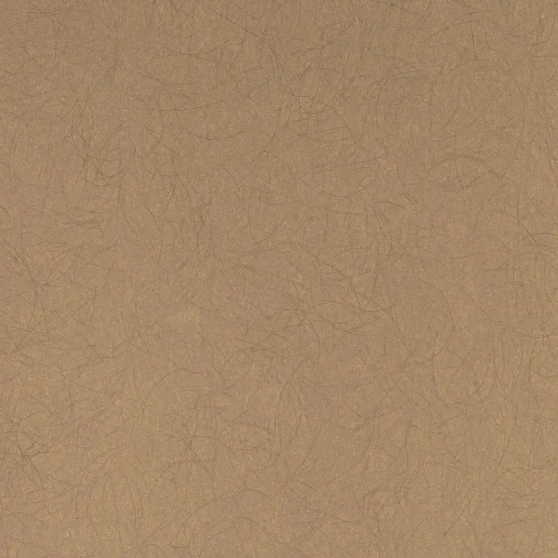 Флизелиновые обои Bernardo Bartalucci Legend 1.06x10 арт.5068-35