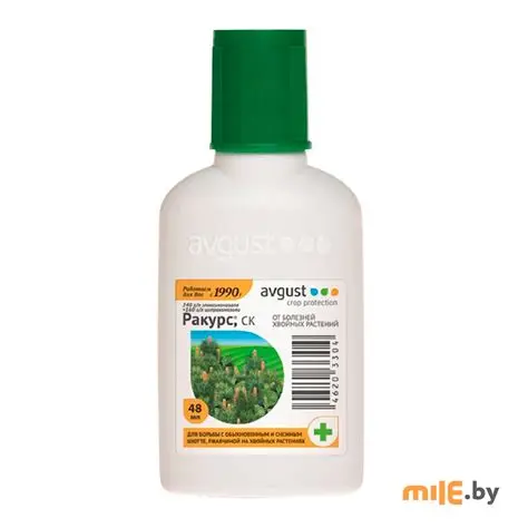 Ракурс 48 мл