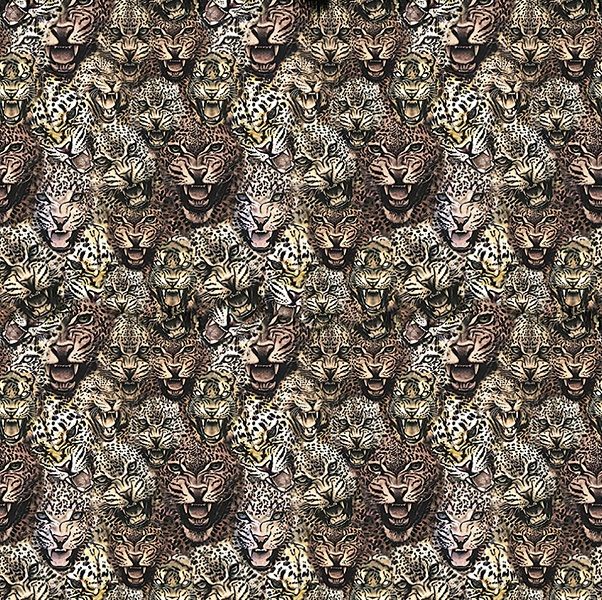 Виниловые фотообои Roberto Cavalli 8 RC19104