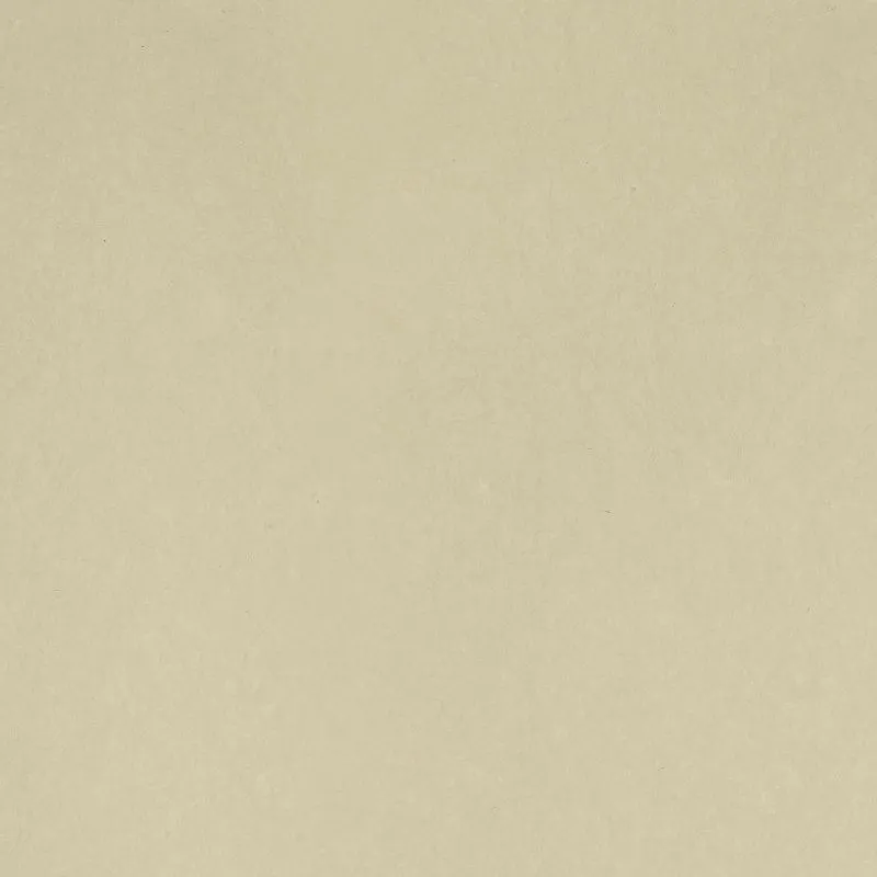 Флизелиновые обои Bernardo Bartalucci Legend 1.06x10 арт.5068-42