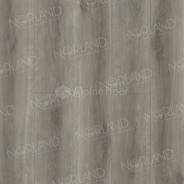 SPC ламинат Renaelva 2001-7