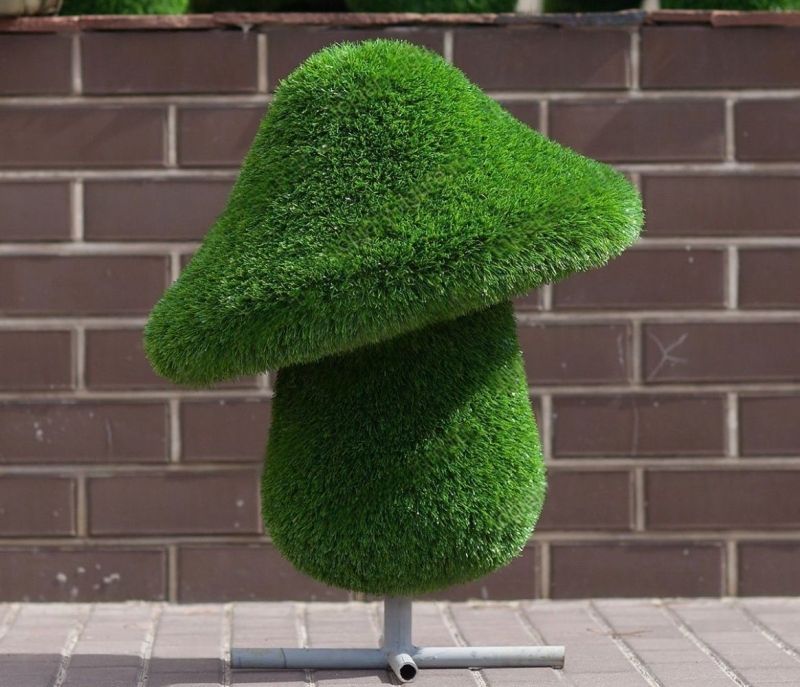 Гриб большой распродажа