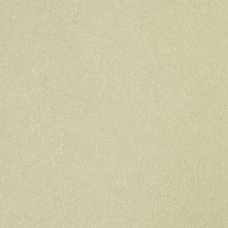 Флизелиновые обои Bernardo Bartalucci Legend 1.06x10 арт.5068-86