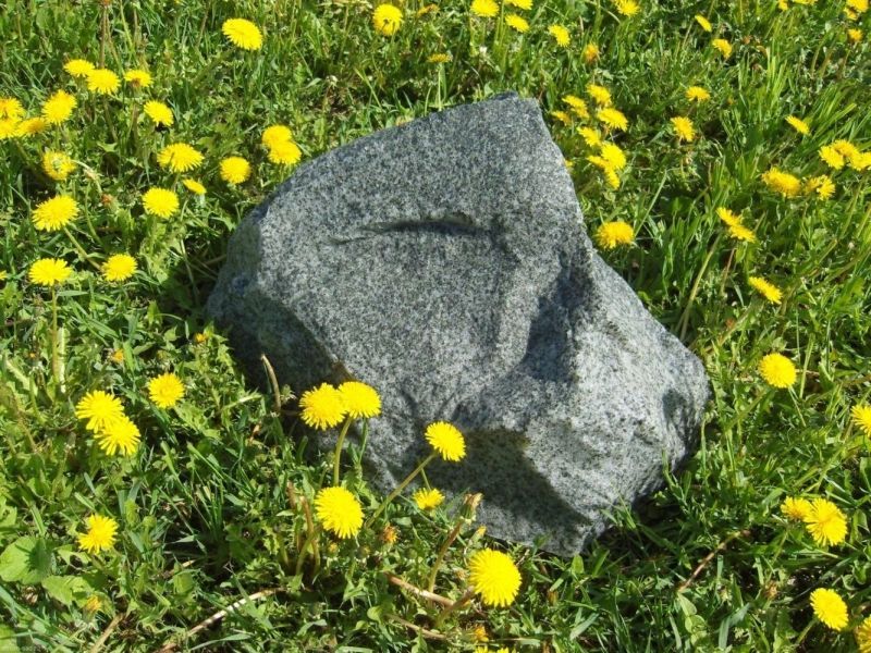 Камень на люк люкс Д-30