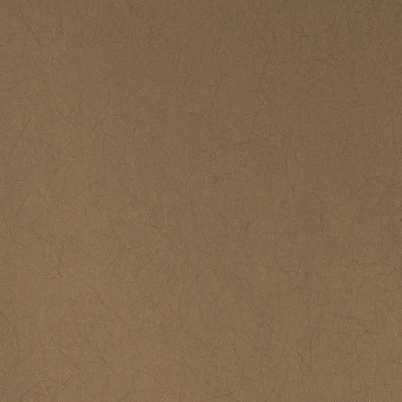 Флизелиновые обои Bernardo Bartalucci Legend 1.06x10 арт.5068-36