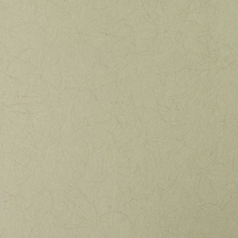 Флизелиновые обои Bernardo Bartalucci Legend 1.06x10 арт.5068-88