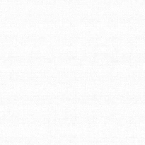 Виниловые обои Andrea Rossi Spectrum Just 54478-1 1.06