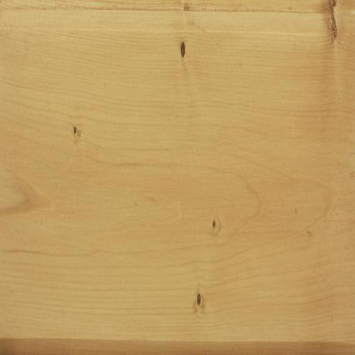 Масло защитное Biofa с антисептиком (Лиственница) 10 л