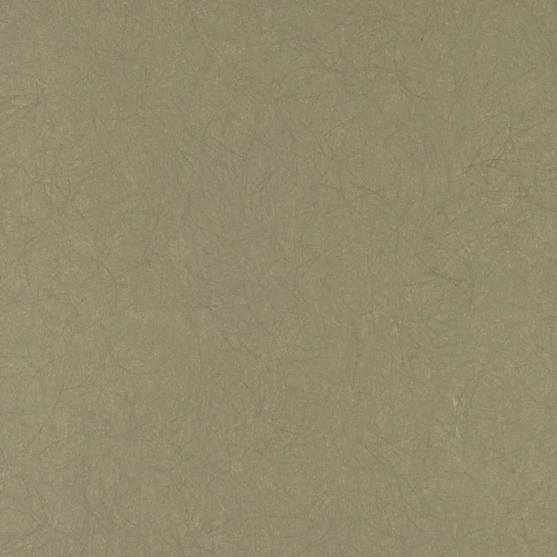 Флизелиновые обои Bernardo Bartalucci Legend 1.06x10 арт.5068-71