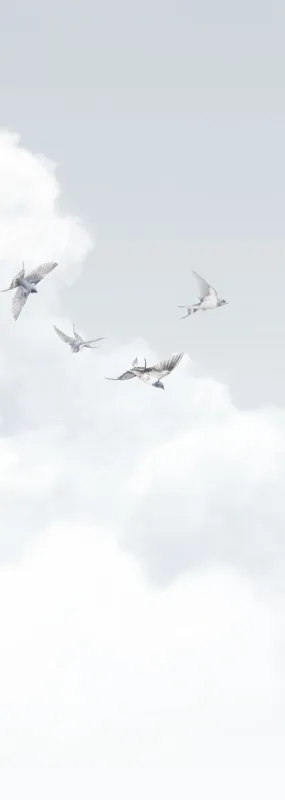 Флизелиновые обои Milassa Ambient vol3 x арт.AM11006/4