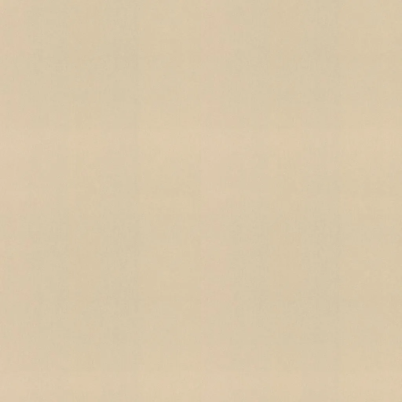 Виниловые обои на флизелиновой основе Rasch Florentine Incanto 1.06x10.05 арт.977608