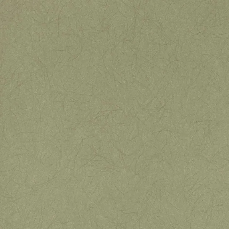 Флизелиновые обои Bernardo Bartalucci Legend 1.06x10 арт.5068-50