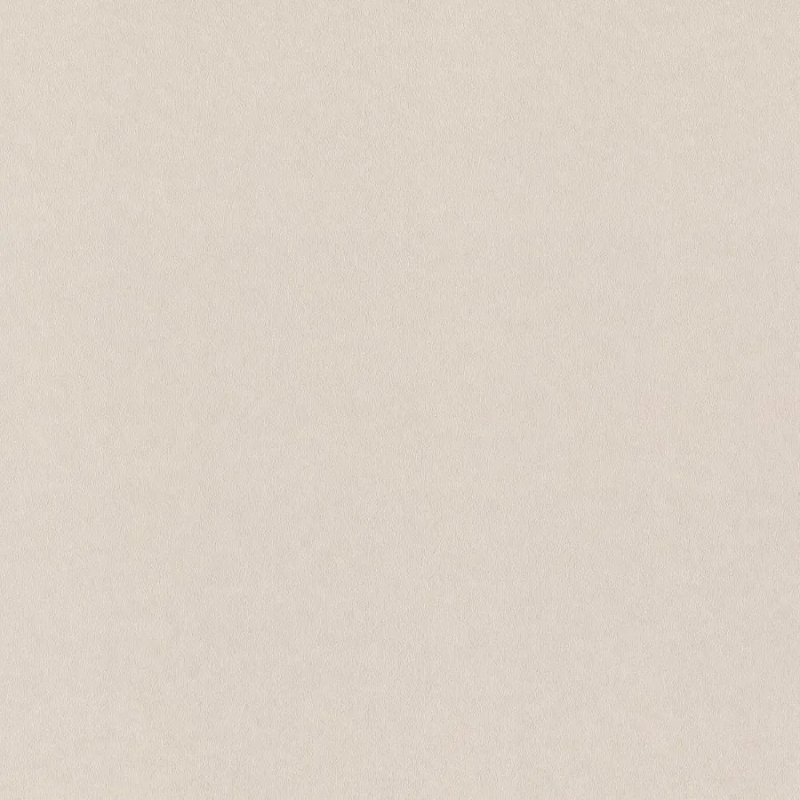 Виниловые обои на флизелиновой основе Rasch Gentle Elegance 1.06x10.05 арт.980349