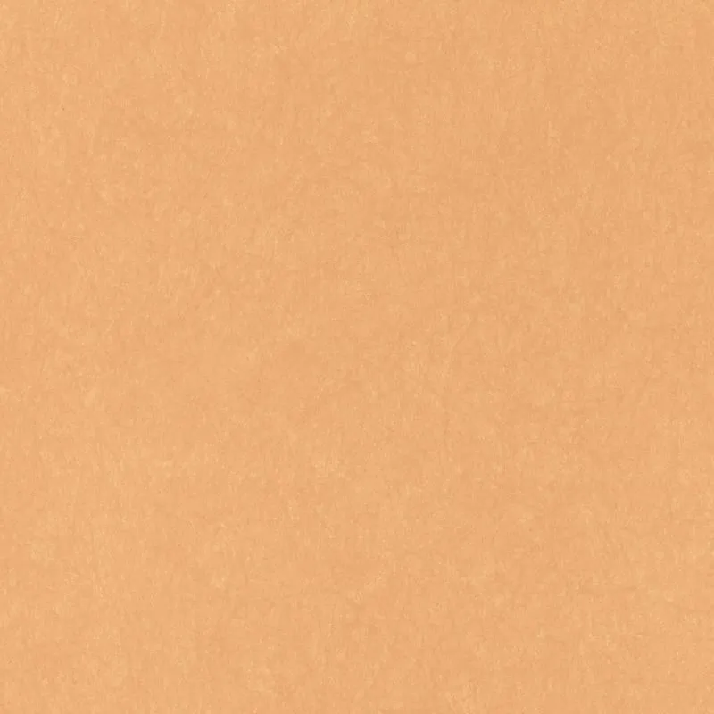 Флизелиновые обои Bernardo Bartalucci Legend 1.06x10 арт.5068-60