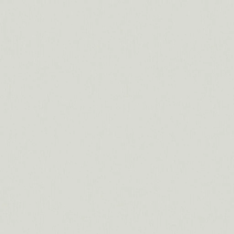 Виниловые обои на флизелиновой основе Fipar Modelli Di Luce 1.06x10.05 арт.R25536