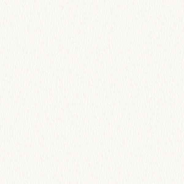 54285-1 Andrea Rossi Barbana 1,06 x 10,05