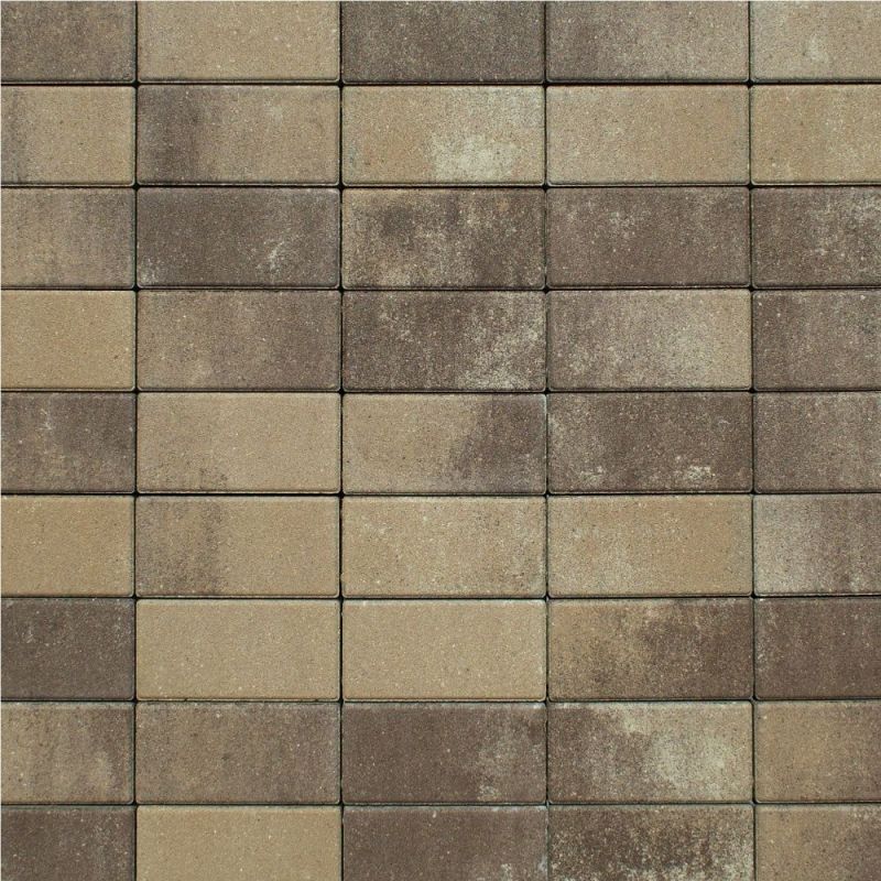 Тротуарная плитка ВЫБОР Прямоугольник Листопад Гранит Арабская ночь Верхний прокрас 60 мм