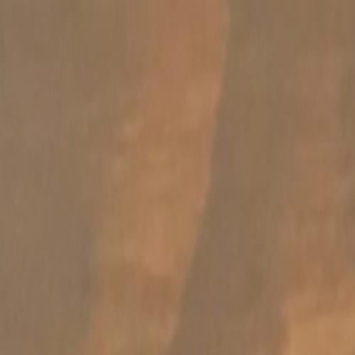 Яхтный лак Biofa (Цикада) 10 л