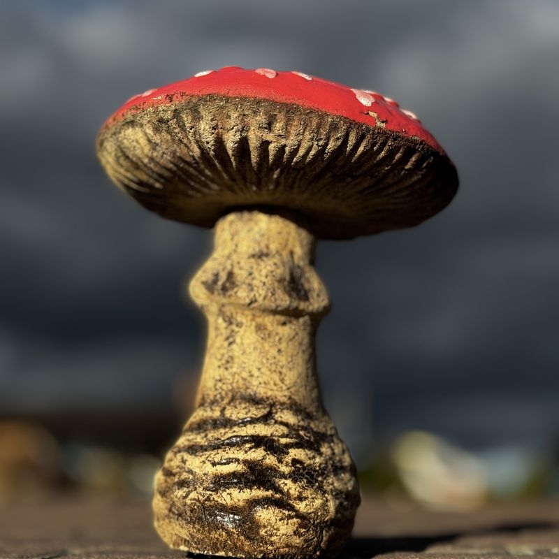 Гриб мухомор №2