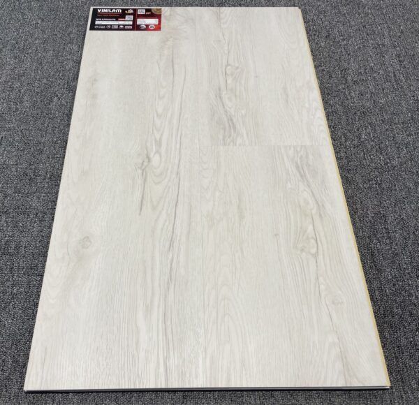 Дуб Аликанте