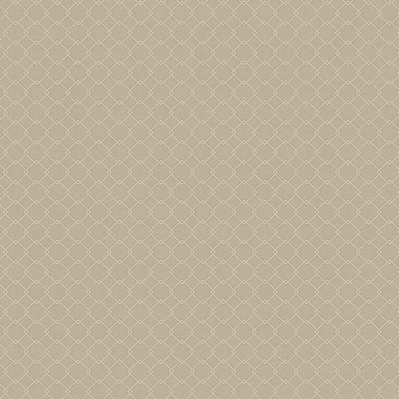 Флизелиновые обои Loymina Шёлковый путь 1x10.05 арт.SLK4008