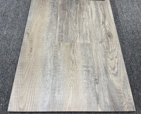 Primavera Torino Botas