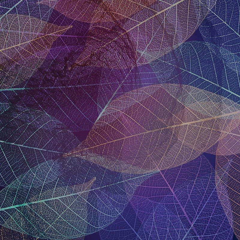 Фреска Графика ag0433c