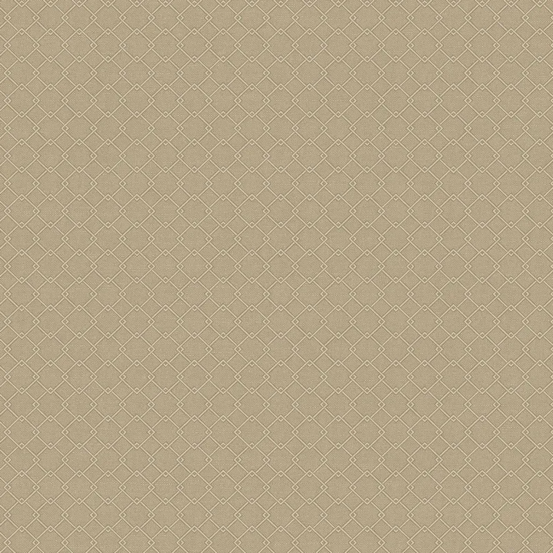 Флизелиновые обои Loymina Шёлковый путь 1x10.05 арт.SLK4002/2