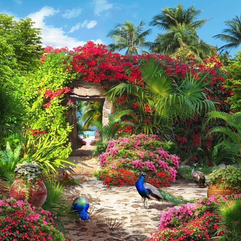 Фреска Современный Графический Дизайн 4601