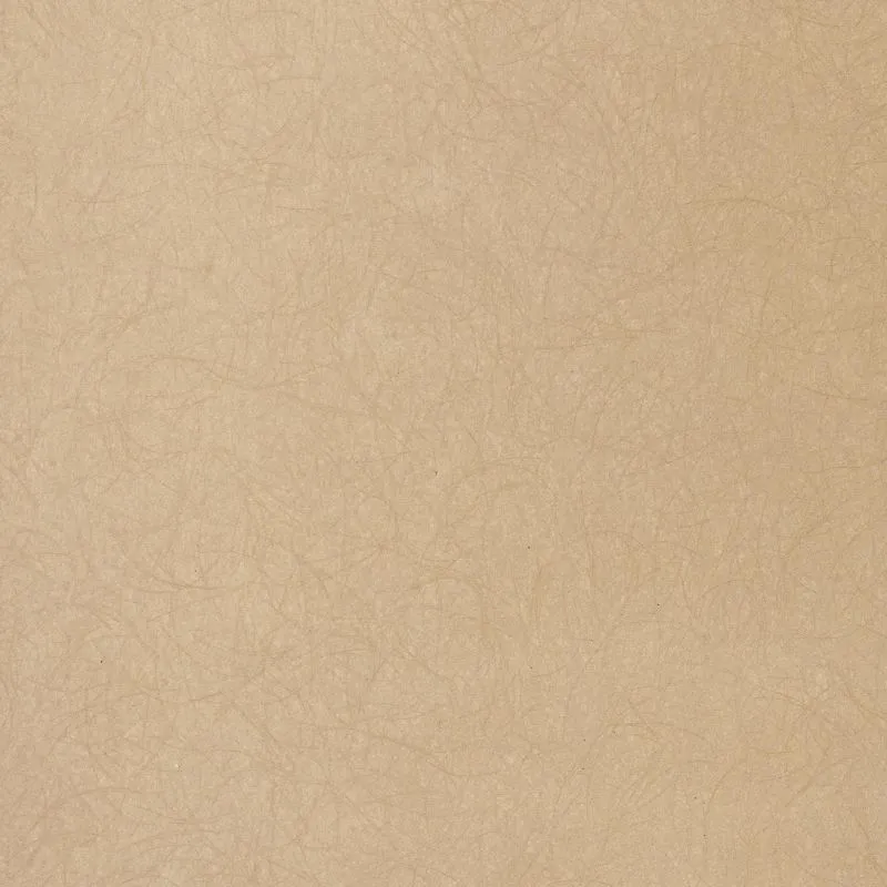 Флизелиновые обои Bernardo Bartalucci Legend 1.06x10 арт.5068-81