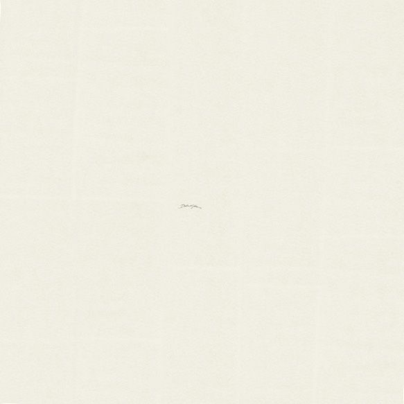 Виниловые обои Dolce&Gabbana №1 1.06 30059DG