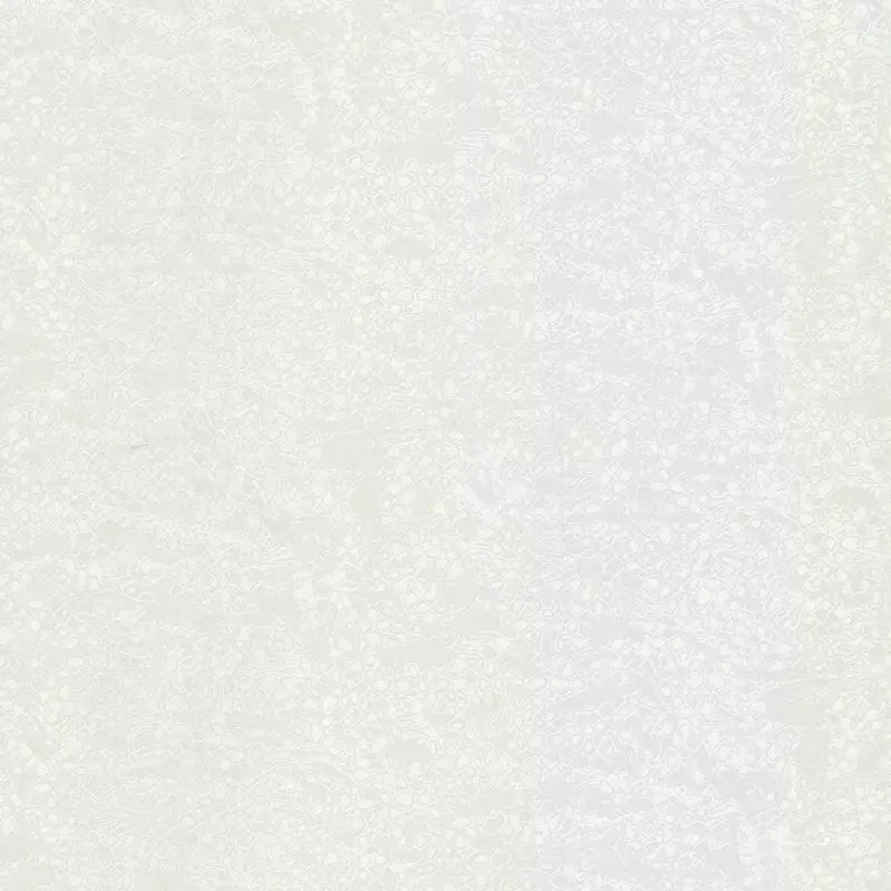 Виниловые обои на флизелиновой основе Emiliana Parati (Decori) Roberto Cavalli 8 1.06x10.05 арт.RC19039