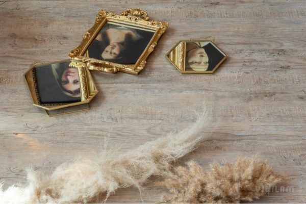 Дуб Росток клеевой